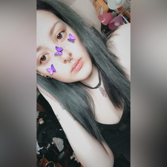 Meet your Posher, Daisy - Picture 2 of 6